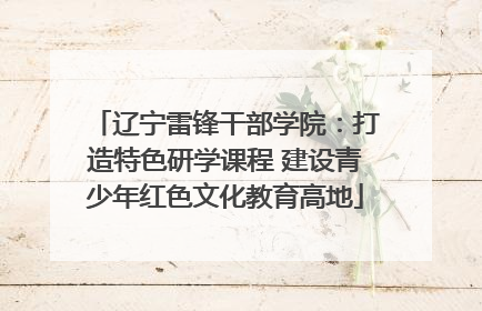 辽宁雷锋干部学院：打造特色研学课程 建设青少年红色文化教育高地