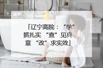 辽宁高院：“学”抓扎实 “查”见真章 “改”求实效