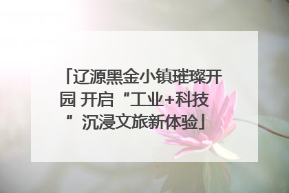 辽源黑金小镇璀璨开园 开启“工业+科技”沉浸文旅新体验