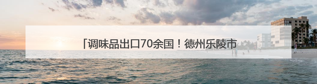 调味品出口70余国！德州乐陵市支持企业加快布局多元化国际市场