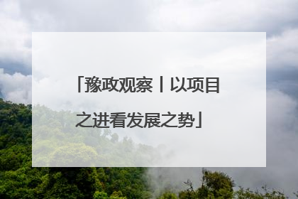 豫政观察丨以项目之进看发展之势