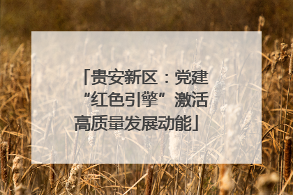 贵安新区：党建“红色引擎”激活高质量发展动能