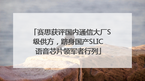 赛思获评国内通信大厂S级供方，跻身国产SLIC语音芯片领军者行列