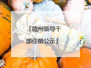 赣州领导干部任前公示