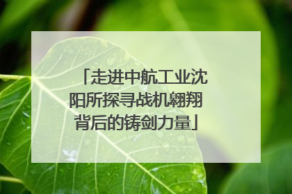 走进中航工业沈阳所探寻战机翱翔背后的铸剑力量