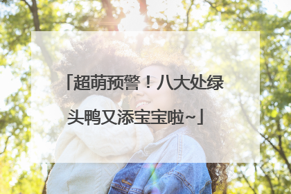超萌预警！八大处绿头鸭又添宝宝啦~