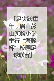 足尖跃童年，眉山彭山实验小学举行“海豚杯”校园足球联赛