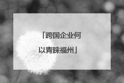 跨国企业何以青睐福州