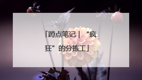 蹲点笔记｜“疯狂”的分拣工