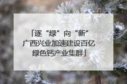 逐“绿”向“新” 广西兴业加速建设百亿绿色钙产业集群