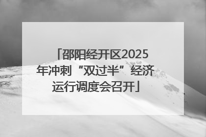 邵阳经开区2025年冲刺“双过半”经济运行调度会召开