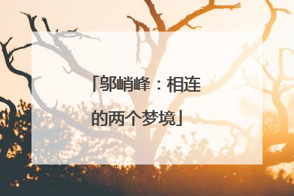 邬峭峰：相连的两个梦境