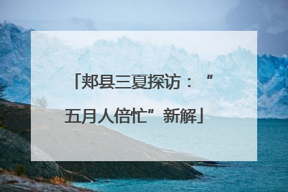 郏县三夏探访：“五月人倍忙”新解