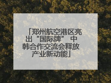 郑州航空港区亮出“国际牌” 中韩合作交流会释放产业新动能