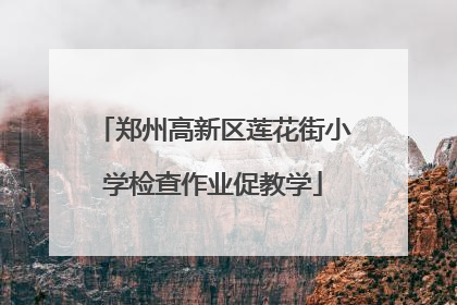 郑州高新区莲花街小学检查作业促教学