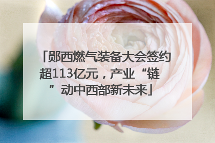 郧西燃气装备大会签约超113亿元，产业“链”动中西部新未来