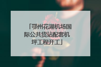 鄂州花湖机场国际公共货站配套机坪工程开工