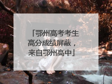 鄂州高考考生高分成绩屏蔽，来自鄂州高中