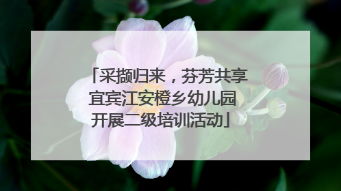 采撷归来，芬芳共享 宜宾江安橙乡幼儿园开展二级培训活动