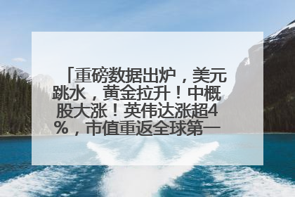重磅数据出炉，美元跳水，黄金拉升！中概股大涨！英伟达涨超4%，市值重返全球第一！黄仁勋计划出售至多600万股股票