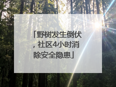 野树发生倒伏，社区4小时消除安全隐患