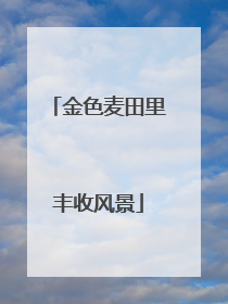 金色麦田里丰收风景