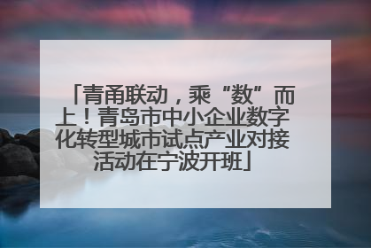 青甬联动，乘“数”而上！青岛市中小企业数字化转型城市试点产业对接活动在宁波开班