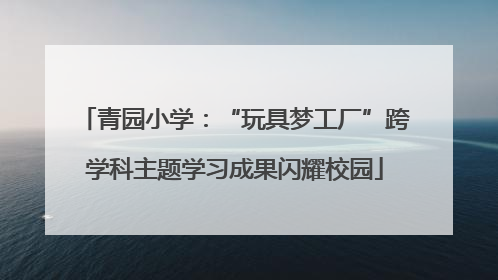 青园小学：“玩具梦工厂”跨学科主题学习成果闪耀校园