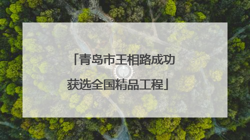青岛市王相路成功获选全国精品工程