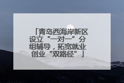 青岛西海岸新区设立“一对一”分组辅导，拓宽就业创业“双路径”