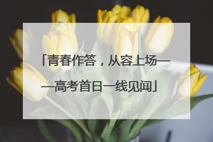 青春作答，从容上场——高考首日一线见闻