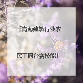 青海建筑行业农民工同台赛技能