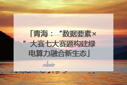 青海：“数据要素×”大赛七大赛题构建绿电算力融合新生态