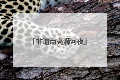 非遗点亮浉河夜