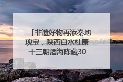非遗好物再添秦地瑰宝，陕西白水杜康十三朝酒海陈藏30年别具一格