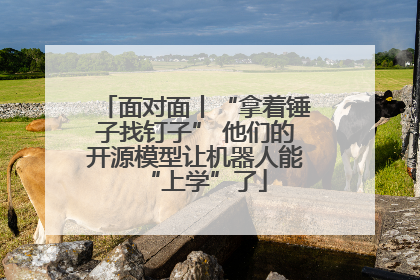 面对面丨“拿着锤子找钉子” 他们的开源模型让机器人能“上学”了