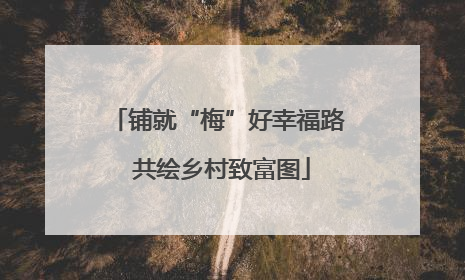 铺就“梅”好幸福路 共绘乡村致富图
