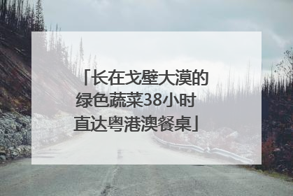 长在戈壁大漠的绿色蔬菜38小时直达粤港澳餐桌