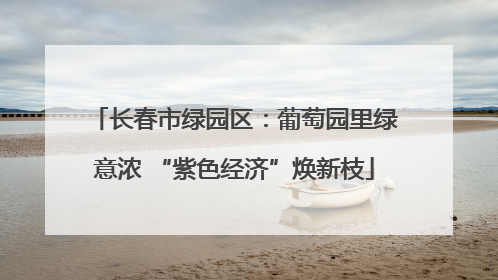 长春市绿园区：葡萄园里绿意浓 “紫色经济”焕新枝