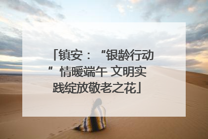 镇安：“银龄行动”情暖端午 文明实践绽放敬老之花