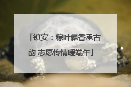 镇安：粽叶飘香承古韵 志愿传情暖端午