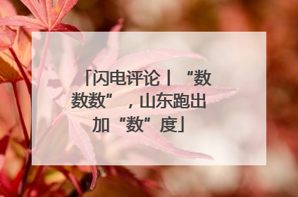 闪电评论丨“数数数”，山东跑出加“数”度