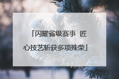 闪耀省级赛事  匠心技艺斩获多项殊荣