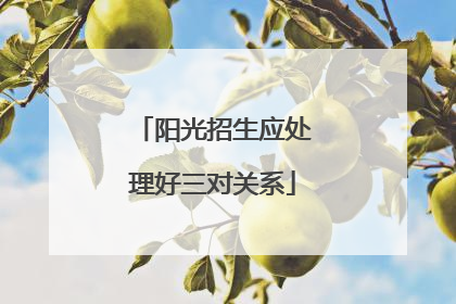 阳光招生应处理好三对关系