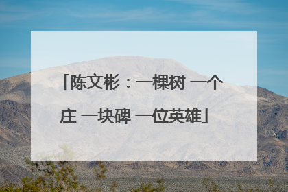 陈文彬：一棵树 一个庄 一块碑 一位英雄