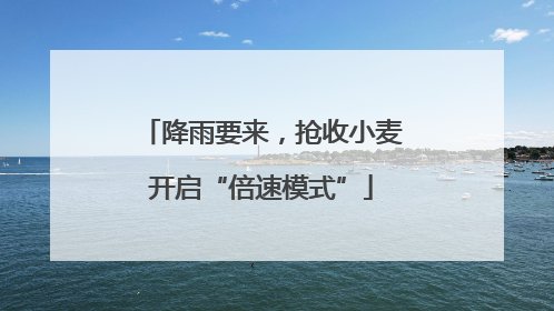 降雨要来，抢收小麦开启“倍速模式”