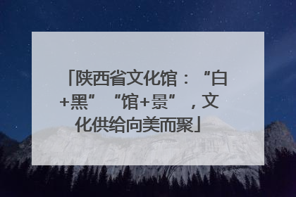 陕西省文化馆：“白+黑”“馆+景”，文化供给向美而聚