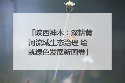 陕西神木：深耕黄河流域生态治理 绘就绿色发展新画卷
