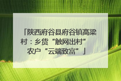 陕西府谷县府谷镇高梁村：乡货“触网出村” 农户“云端致富”