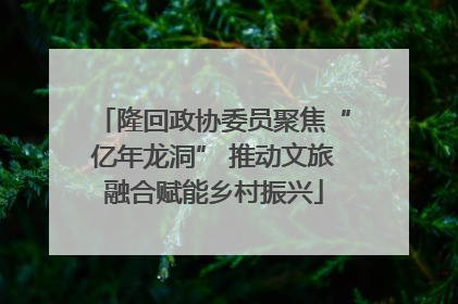 隆回政协委员聚焦“亿年龙洞” 推动文旅融合赋能乡村振兴